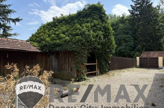 Grundstück kaufen in 3484 Grafenwörth (Bild 3)