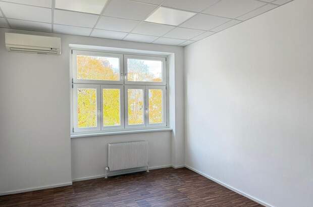 Gewerbeobjekt mieten in 1060 Wien (Bild 4)