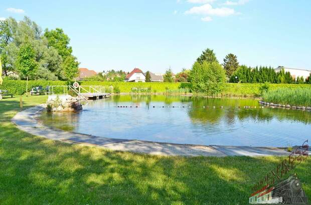 Terrassenwohnung mieten in 2401 Fischamend (Bild 2)