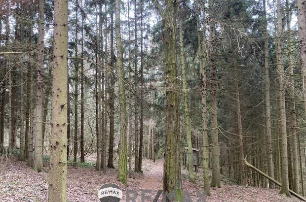 Jagd- und Forstwirtschaft kaufen in 3452 Atzenbrugg (Bild 3)