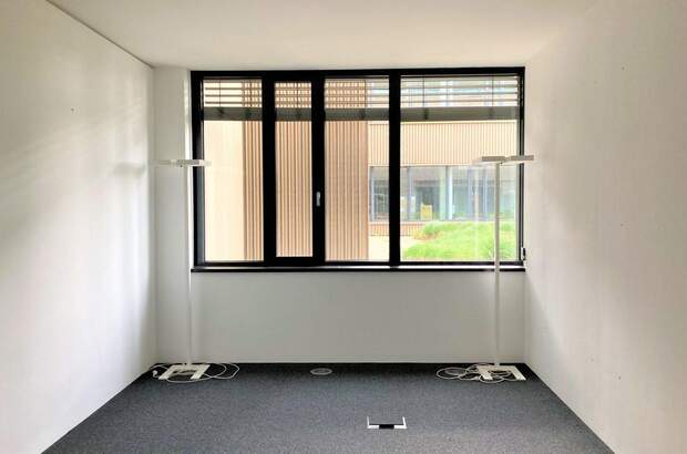 Gewerbeobjekt mieten in 1220 Wien (Bild 3)