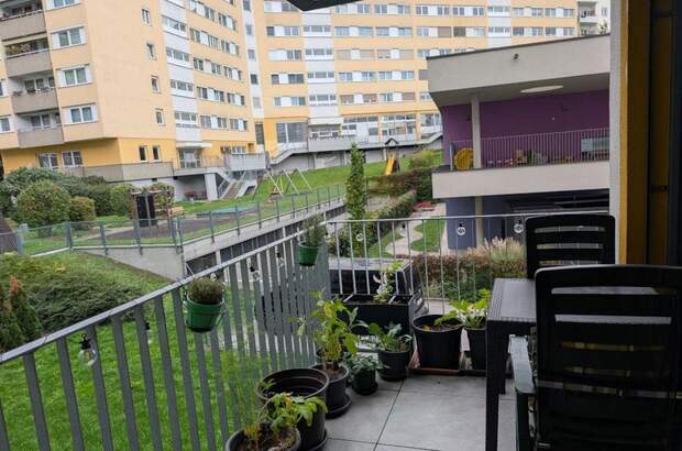 Terrassenwohnung mieten in 4040 Linz (Bild 3)