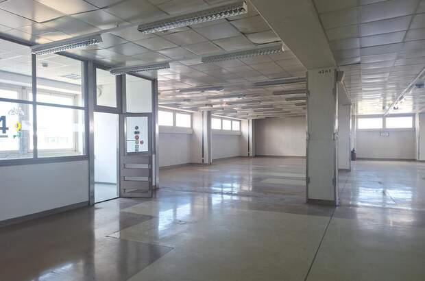 Lager mieten in 1220 Wien (Bild 4)