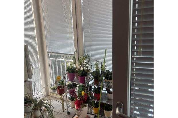 Terrassenwohnung mieten in 1140 Wien (Bild 4)