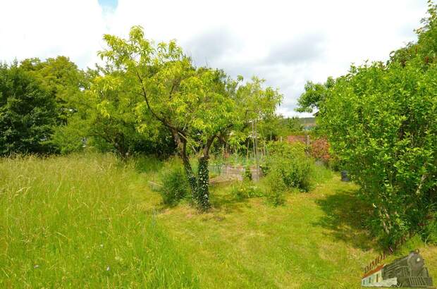 Grundstück kaufen in 2721 Bad Fischau (Bild 4)