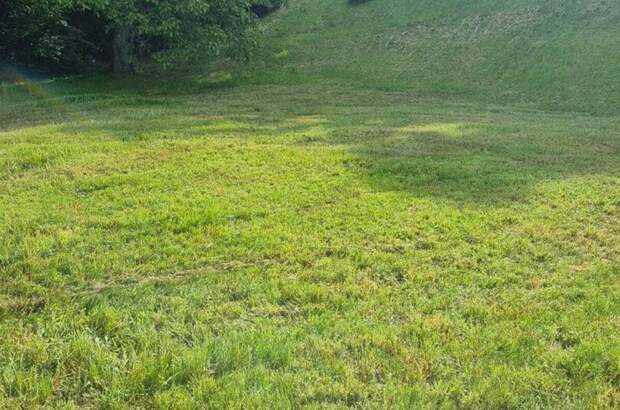 Grundstück kaufen in 4111 Walding (Bild 1)