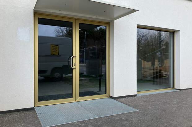 Gewerbeobjekt mieten in 1230 Wien (Bild 1)