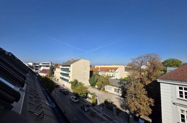 Wohnung mieten in 2700 Wiener Neustadt (Bild 2)