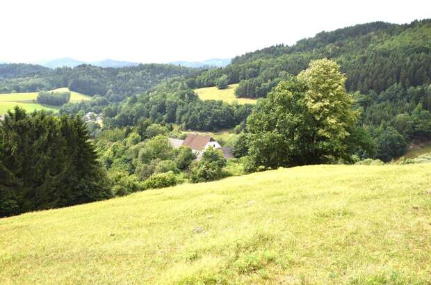 Bauernhaus kaufen in 4391 Waldhausen (Bild 1)