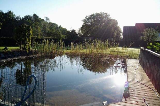 Haus kaufen in 4962 Mining (Bild 3)