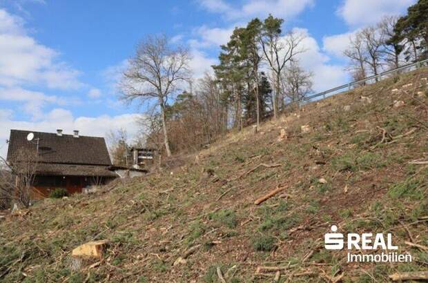 Grundstück kaufen in 4210 Gallneukirchen (Bild 4)