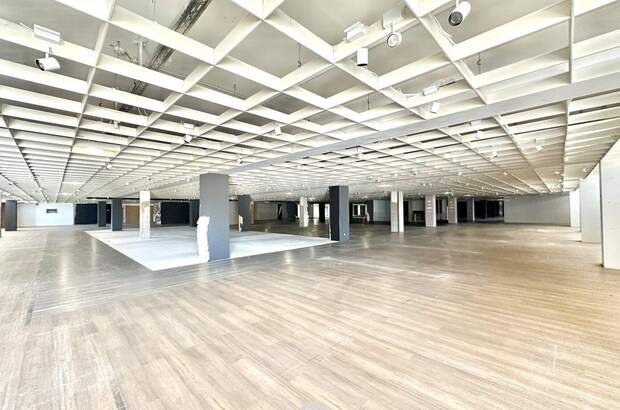 Gewerbeobjekt mieten in 4020 Linz (Bild 4)