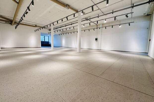 Gewerbeobjekt mieten in 8724 Spielberg (Bild 5)