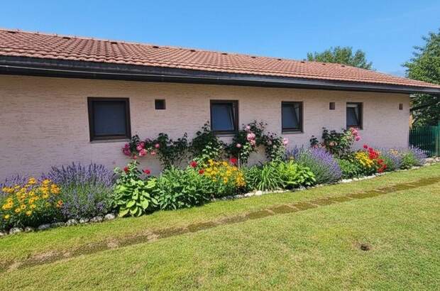 Anlageobjekt kaufen in 5303 Thalgau (Bild 3)