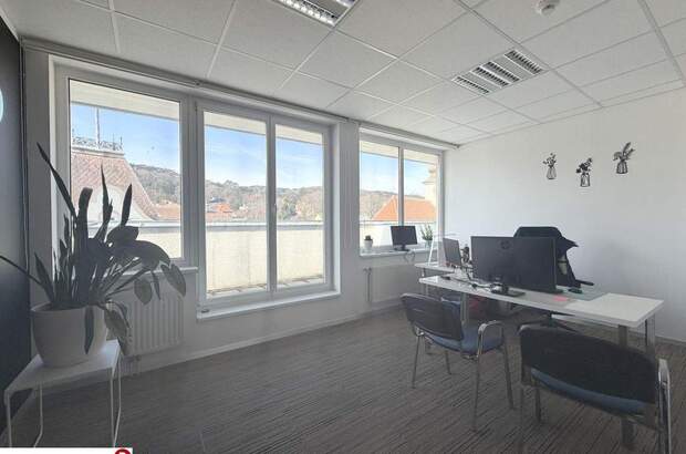 Gewerbeobjekt mieten in 2340 Mödling (Bild 1)