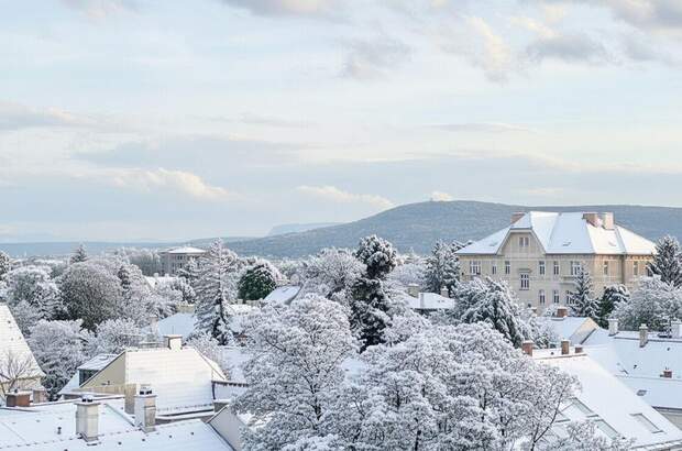 Wohnung kaufen in 2500 Baden (Bild 1)