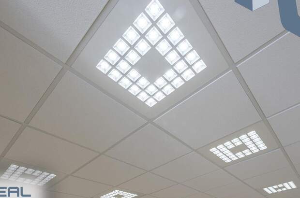 Gewerbeobjekt mieten in 4020 Linz (Bild 5)