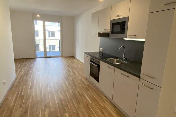 Terrassenwohnung mieten in 1220 Wien (Bild 2)