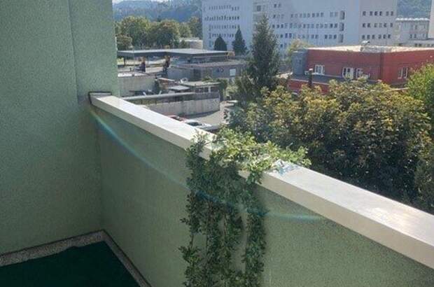 Wohnung mit Balkon kaufen in 8053 Graz (Bild 1)