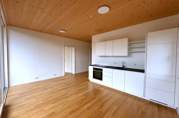 Terrassenwohnung mieten in 1120 Wien (Bild 2)