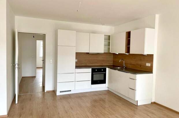 Terrassenwohnung mieten in 1230 Wien (Bild 5)