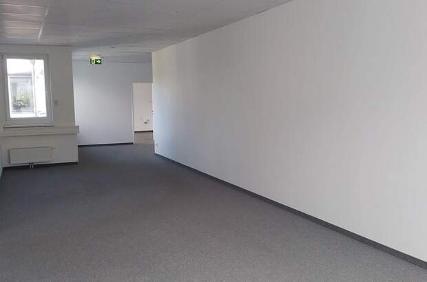Gewerbeobjekt mieten in 2372 Gießhübl (Bild 5)
