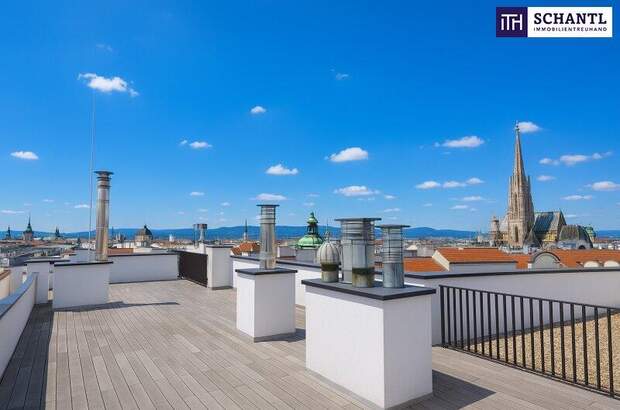 Terrassenwohnung kaufen in 1010 Wien (Bild 4)