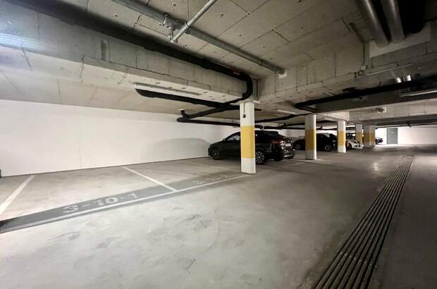 Halle / Lager / Produktion mieten in 3430 Tulln (Bild 1)