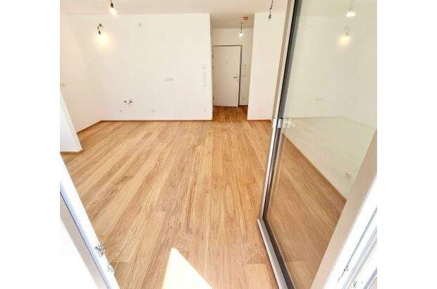 Terrassenwohnung kaufen in 1230 Wien (Bild 4)