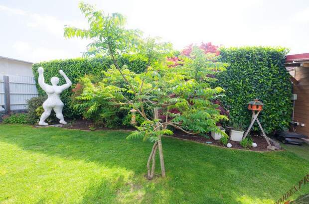 Haus mit Garten kaufen in 2326 Lanzendorf (Bild 3)