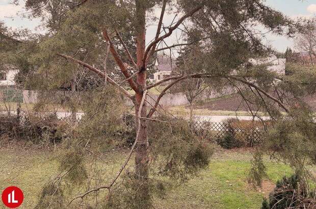 Terrassenwohnung mieten in 2454 Trautmannsdorf (Bild 1)