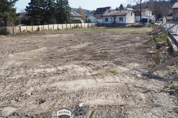 Grundstück kaufen in 3433 Königstetten (Bild 4)