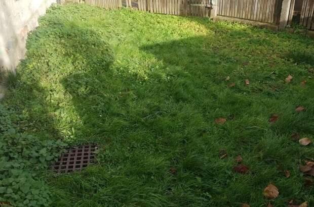 Haus kaufen in 4730 Waizenkirchen (Bild 1)