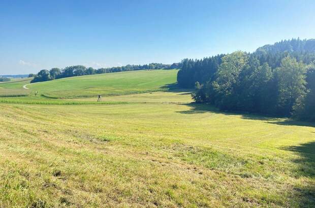 Grundstück kaufen in 4761 Enzenkirchen