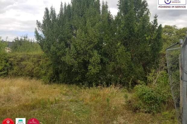 Grundstück kaufen in 2201 Gerasdorf (Bild 3)