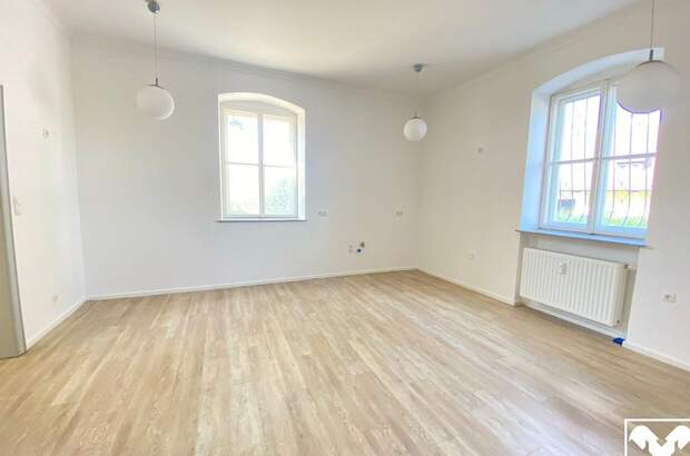 Gewerbeobjekt mieten in 4780 Schärding (Bild 3)