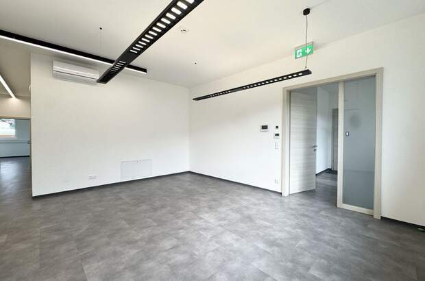 Gewerbeobjekt mieten in 9710 Feistritz (Bild 4)