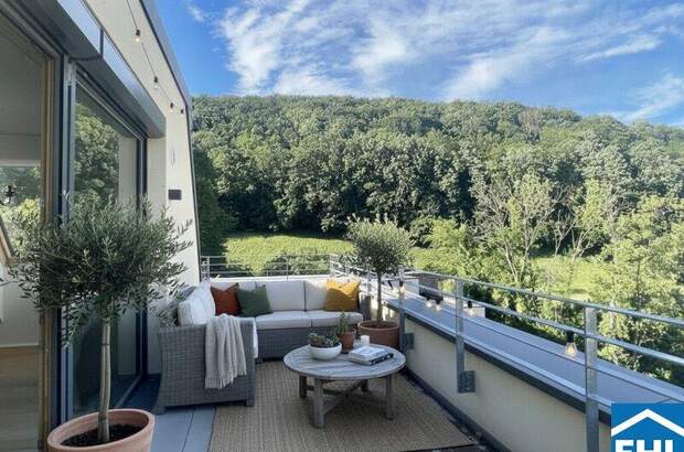 Terrassenwohnung mieten in 2391 Kaltenleutgeben (Bild 1)