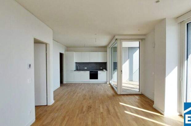 Terrassenwohnung mieten in 1220 Wien (Bild 1)