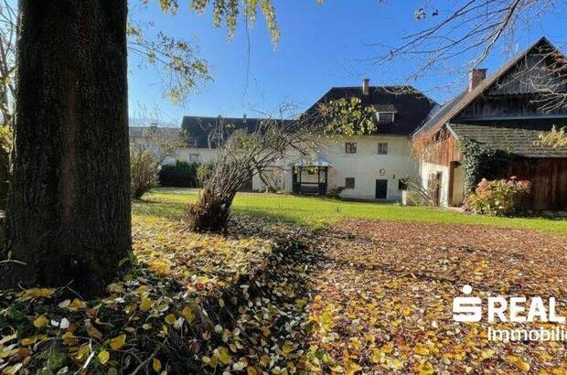 Haus kaufen in 4560 Kirchdorf (Bild 5)