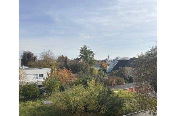 Wohnung mieten in 4600 Wels (Bild 3)