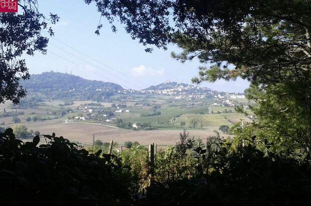 Gewerbeobjekt kaufen in 47032 Bertinoro (Bild 1)