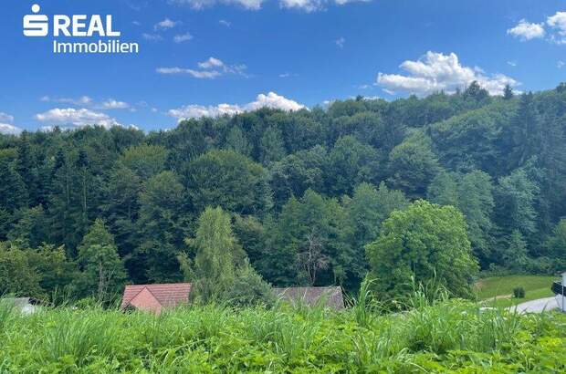 Grundstück kaufen in 8541 Bad Schwanberg (Bild 3)