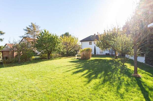 Haus kaufen in 2463 Stixneusiedl (Bild 1)