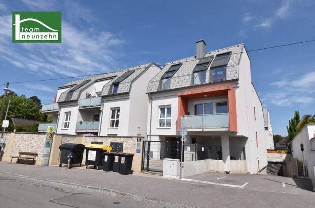 Terrassenwohnung kaufen in 3500 Krems (Bild 2)