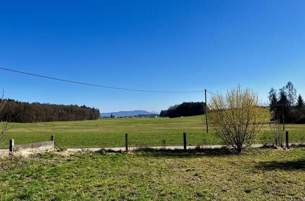 Grundstück kaufen in 5120 Sankt Pantaleon (Bild 3)