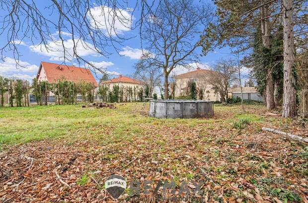 Grundstück kaufen in 2231 Strasshof (Bild 3)