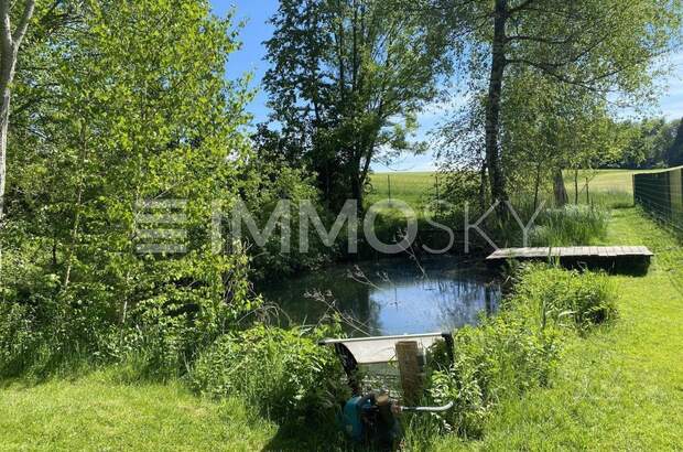 Einfamilienhaus kaufen in 5162 Obertrum (Bild 3)