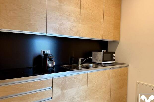 Gewerbeobjekt mieten in 4201 Eidenberg (Bild 5)