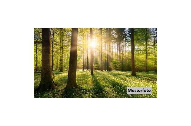 Grundstück kaufen in 7562 Zahling (Bild 1)